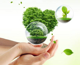 關于室內環保裝修，這六點你得了解